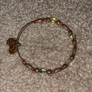Alex and Ani Expandable Bracelet